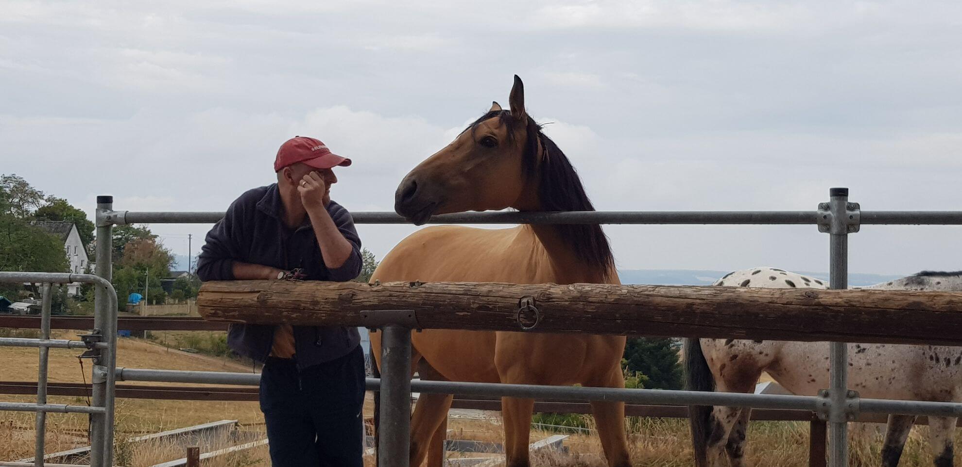 Interaktion zwischen Mensch und Pferd am Koppelzaun – VDHP e.V. – Verband der Hufpfleger e.V.